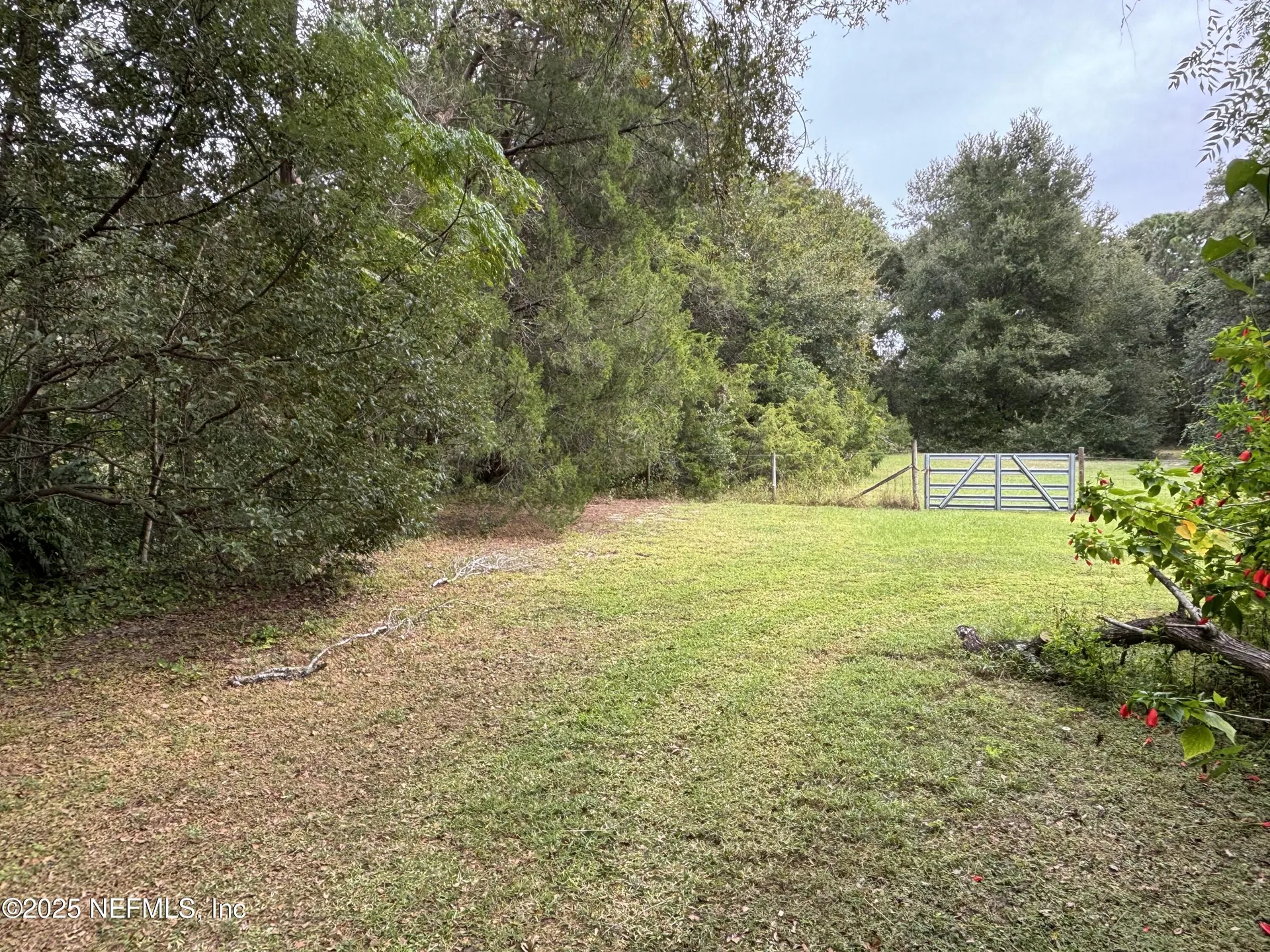 3325 Golden Gem Road Apopka FL 32712