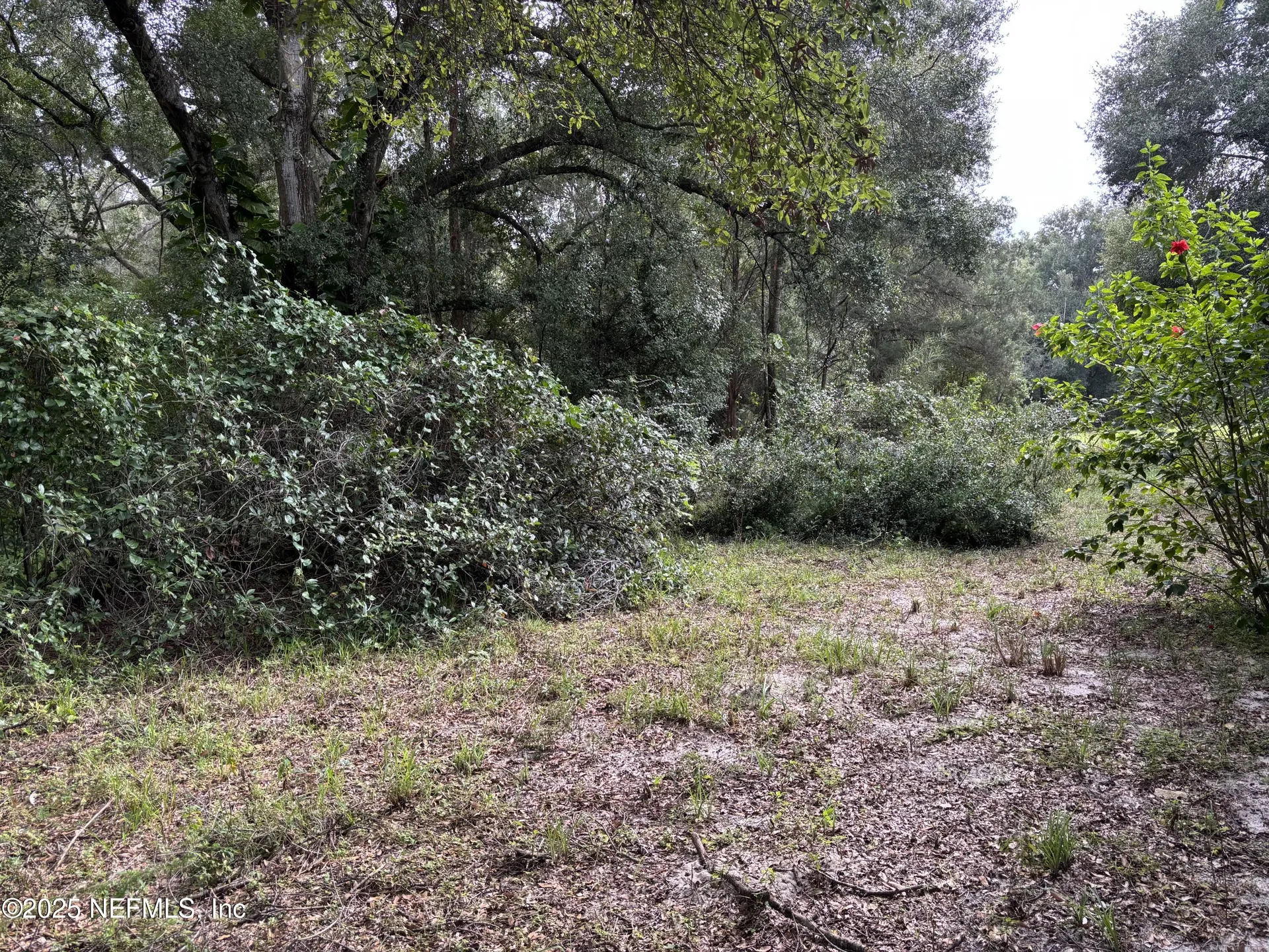3325 Golden Gem Road Apopka FL 32712