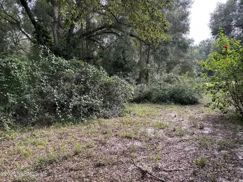 3325 Golden Gem Road Apopka FL 32712