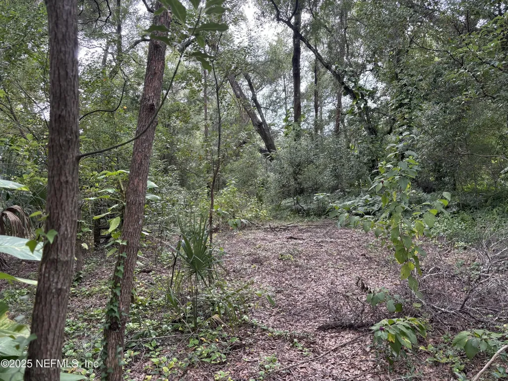 3337 Golden Gem Road Apopka FL 32712