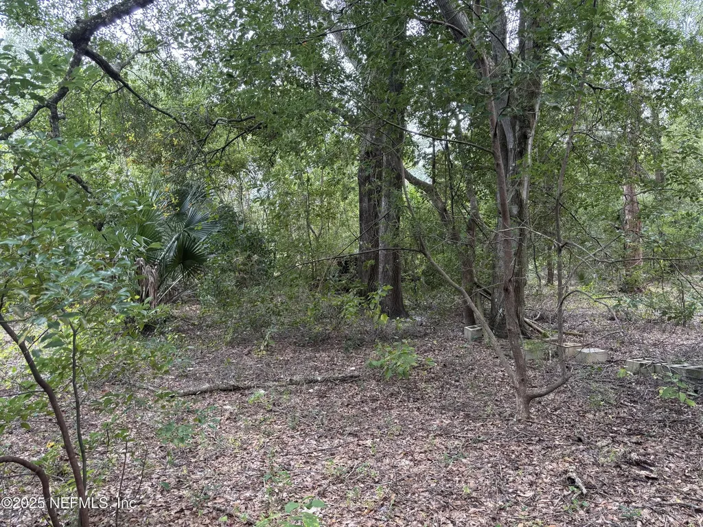 3337 Golden Gem Road Apopka FL 32712
