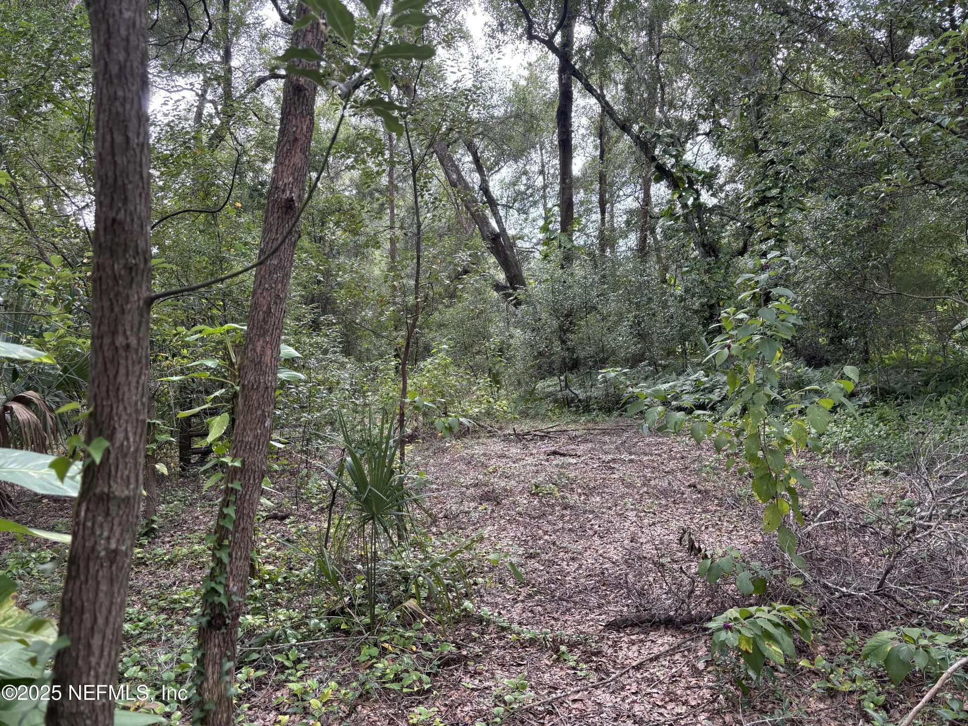 3337 Golden Gem Road Apopka FL 32712