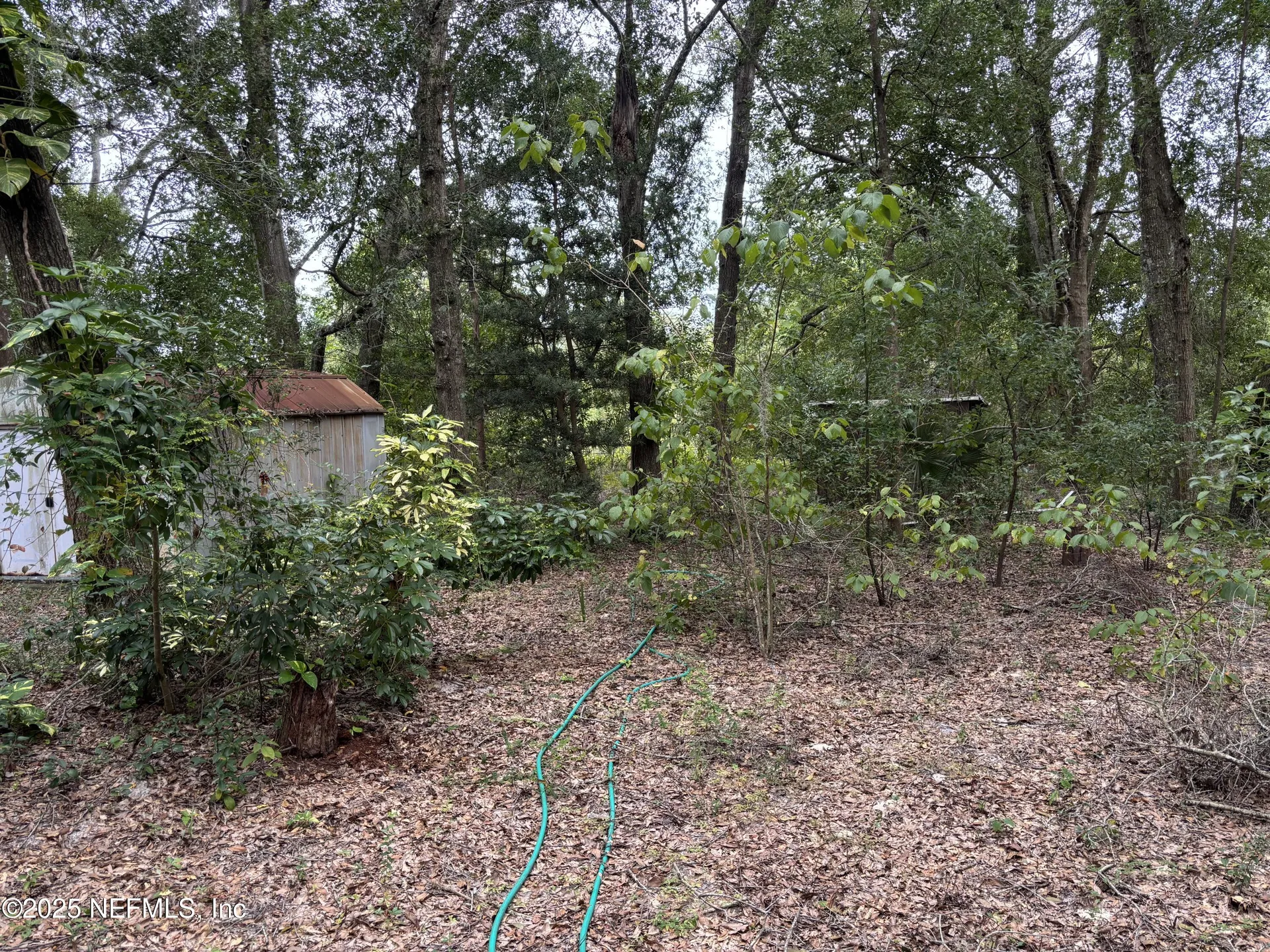 3337 Golden Gem Road Apopka FL 32712