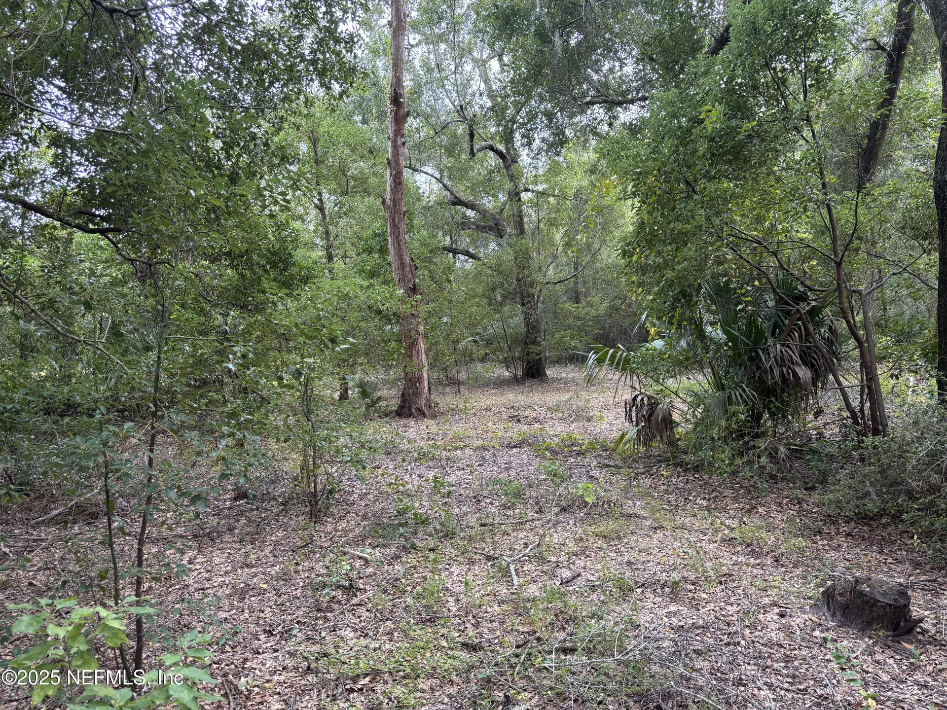 3337 Golden Gem Road Apopka FL 32712