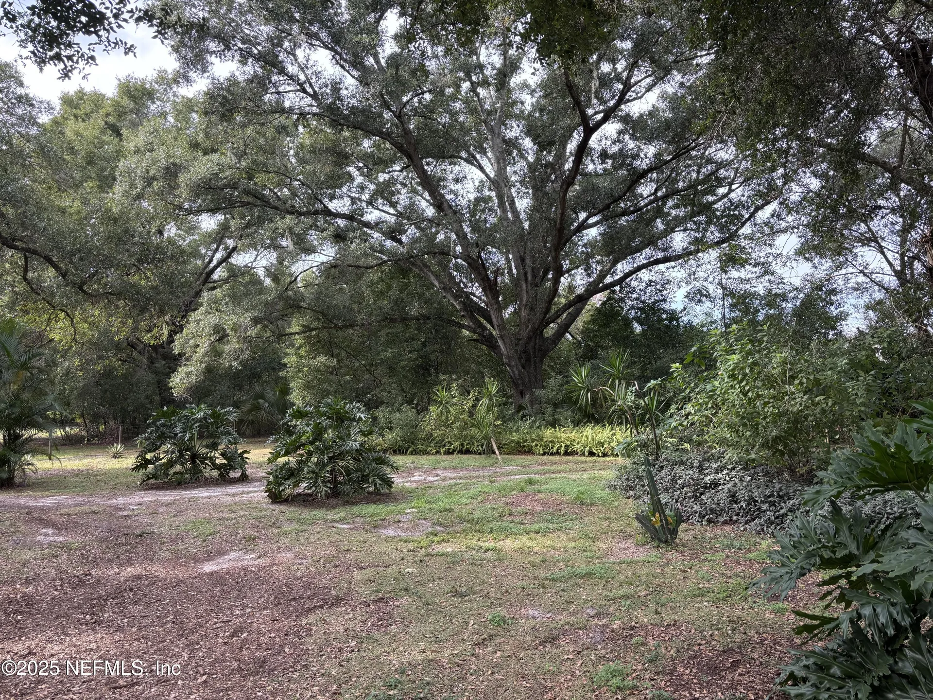 3427 Golden Gem Road Apopka FL 32227