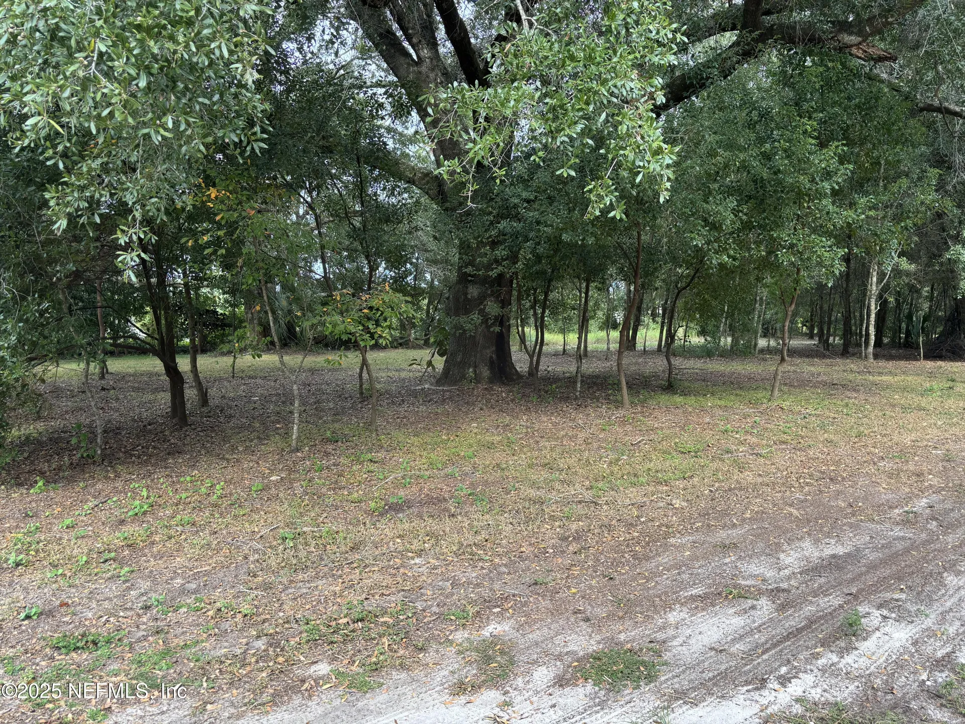 3427 Golden Gem Road Apopka FL 32227