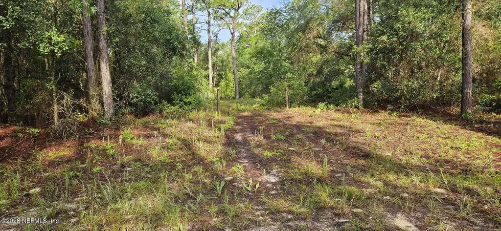 411 Incline Road Satsuma FL 32189