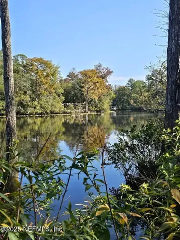 2061 Harvard Street Middleburg FL 32068