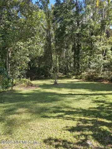 2061 Harvard Street Middleburg FL 32068