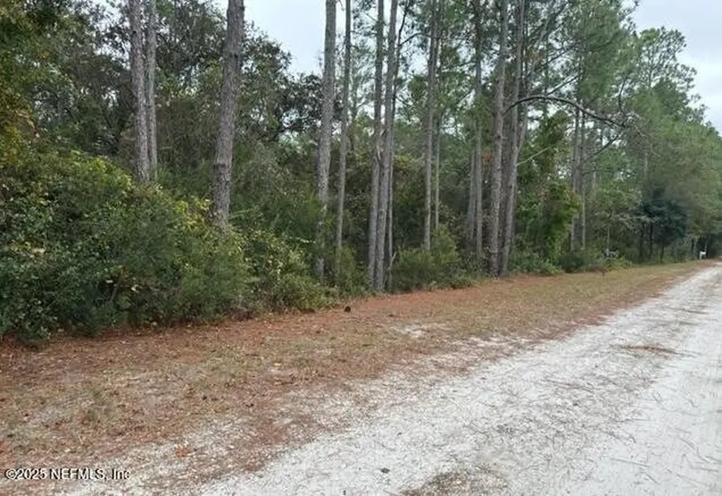 307 Lakeway Drive Georgetown FL 32139