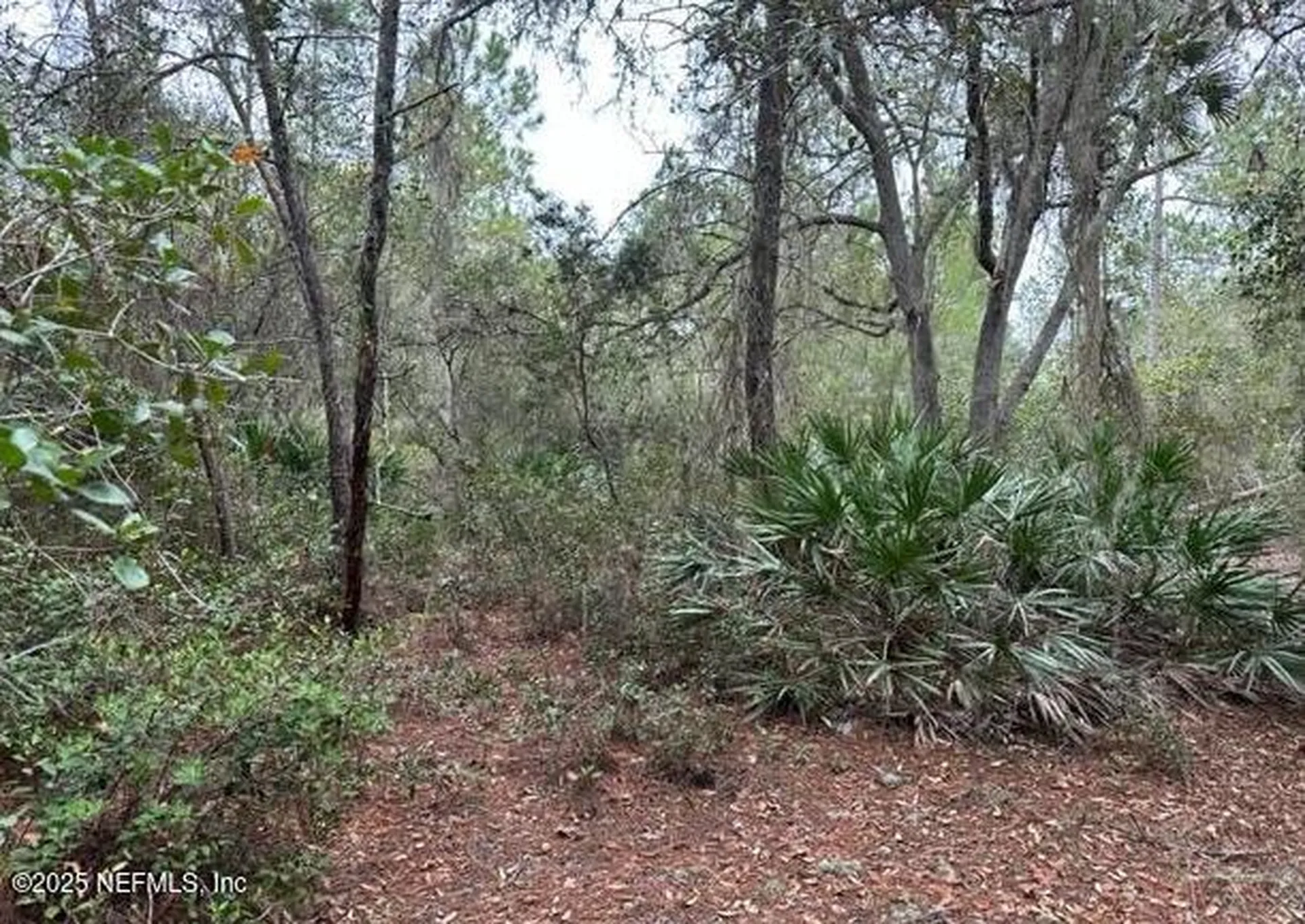 307 Lakeway Drive Georgetown FL 32139