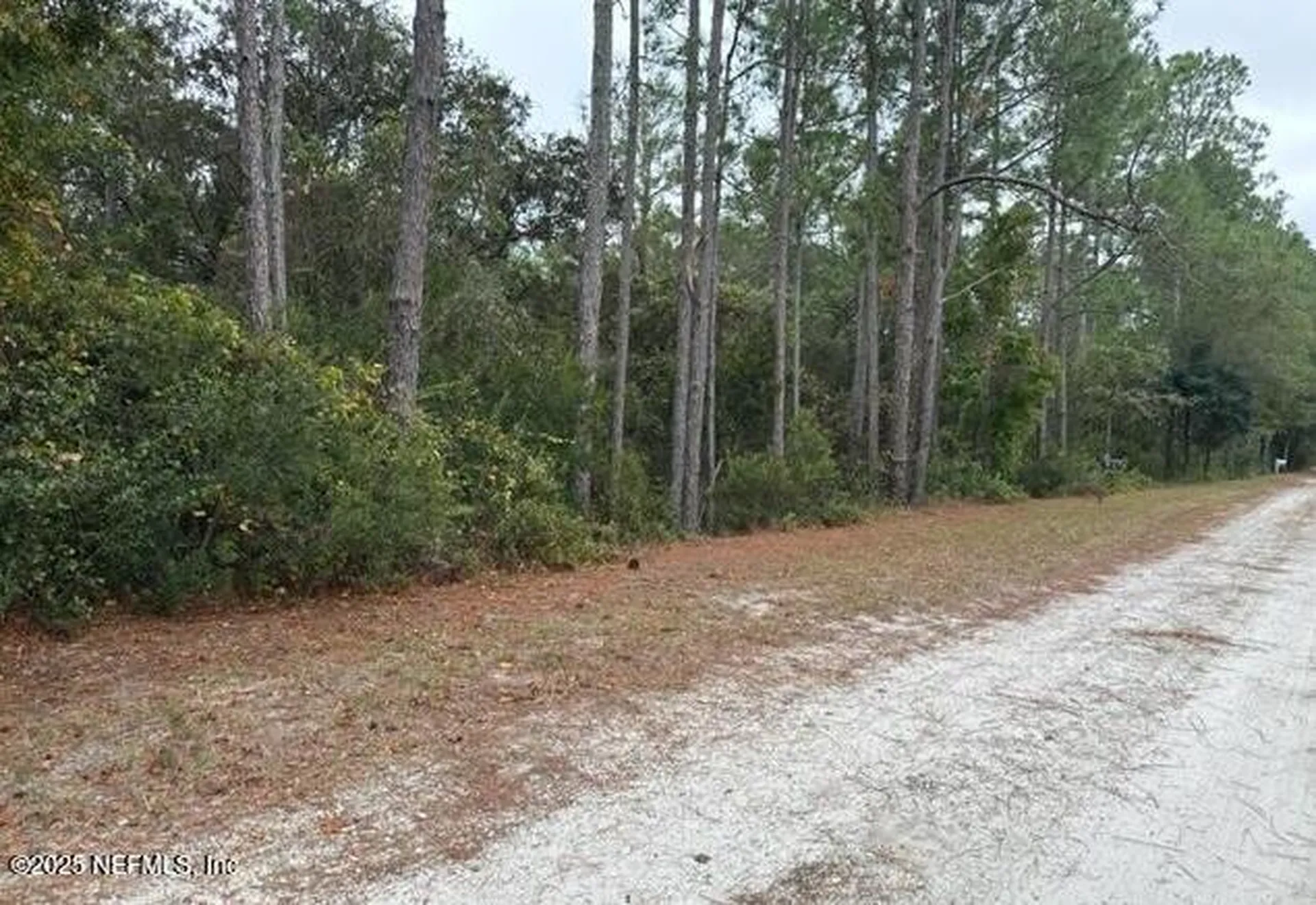 307 Lakeway Drive Georgetown FL 32139