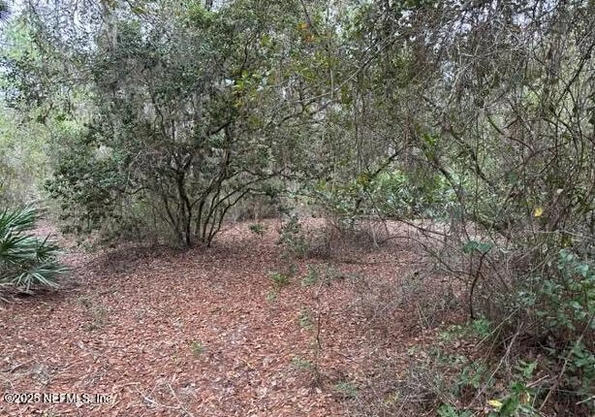 307 Lakeway Drive Georgetown FL 32139