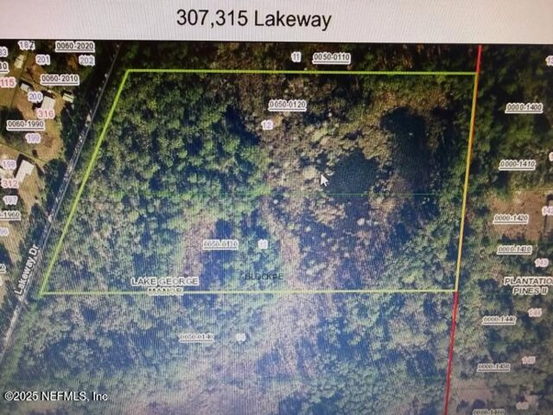 307 Lakeway Drive Georgetown FL 32139