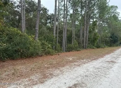 307 Lakeway Drive Georgetown FL 32139