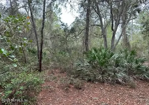 307 Lakeway Drive Georgetown FL 32139