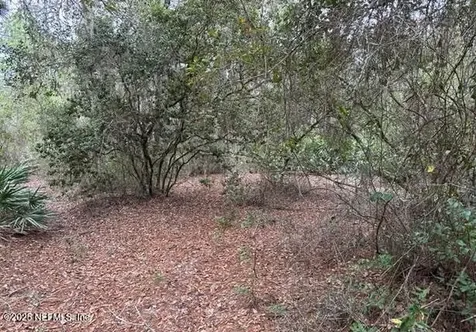307 Lakeway Drive Georgetown FL 32139