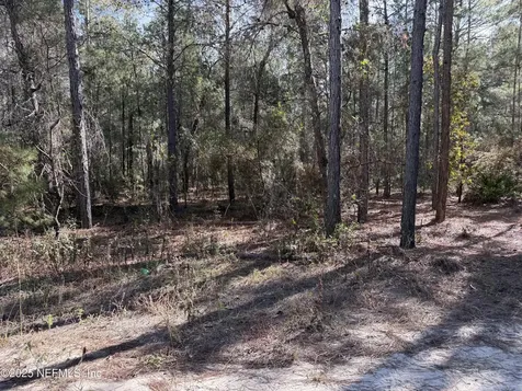 126 E Lura Lane Florahome FL 32140