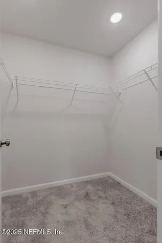 14438 Macadamia Lane Jacksonville FL 32218