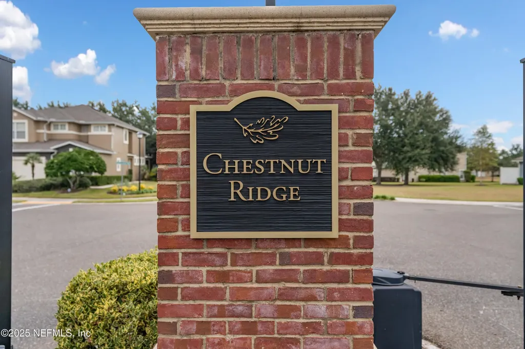 3165 Chestnut Ridge Way Orange Park FL 32065