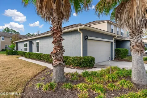 3165 Chestnut Ridge Way Orange Park FL 32065