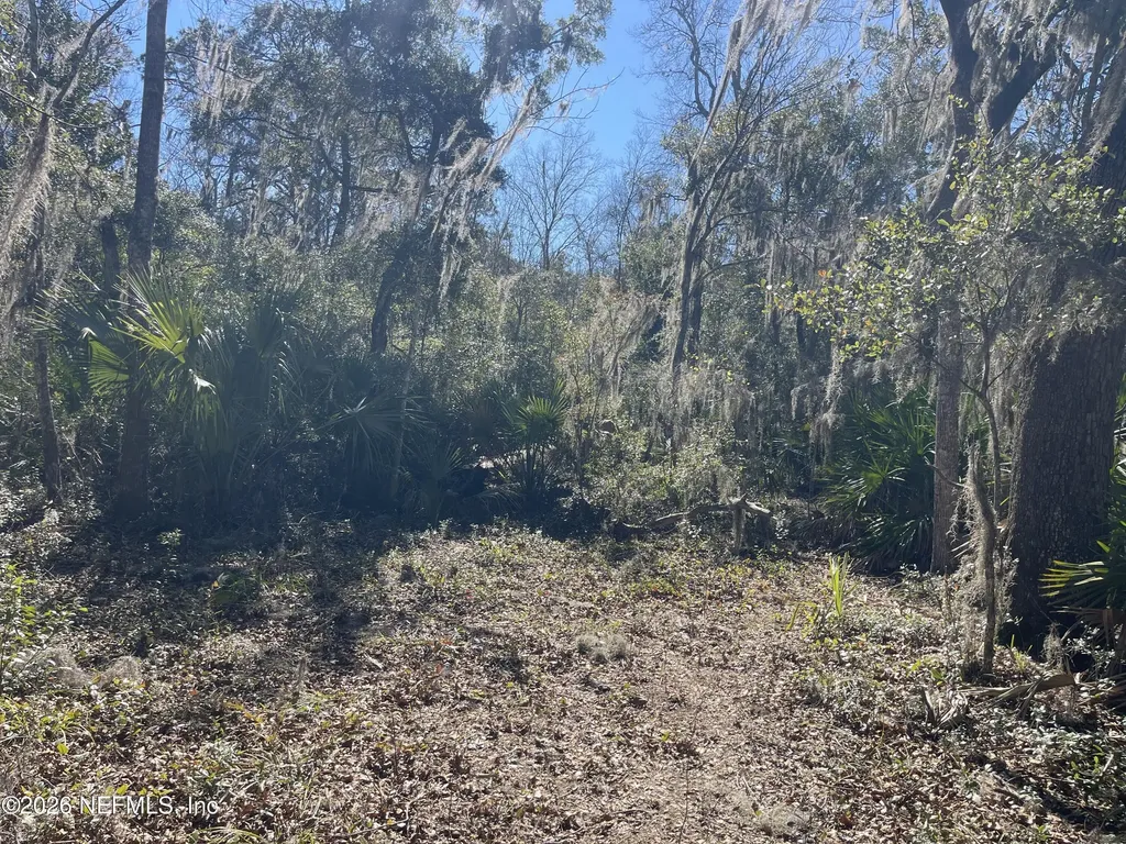 0 Pine Island Road Ponte Vedra FL 32081
