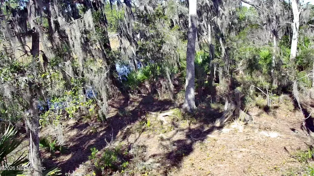 0 Pine Island Road Ponte Vedra FL 32081