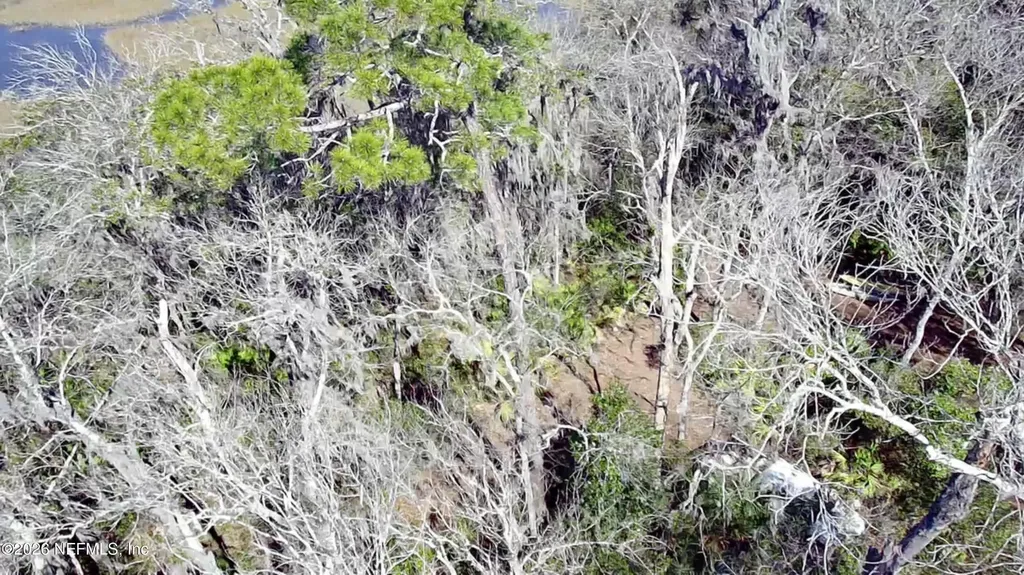 0 Pine Island Road Ponte Vedra FL 32081