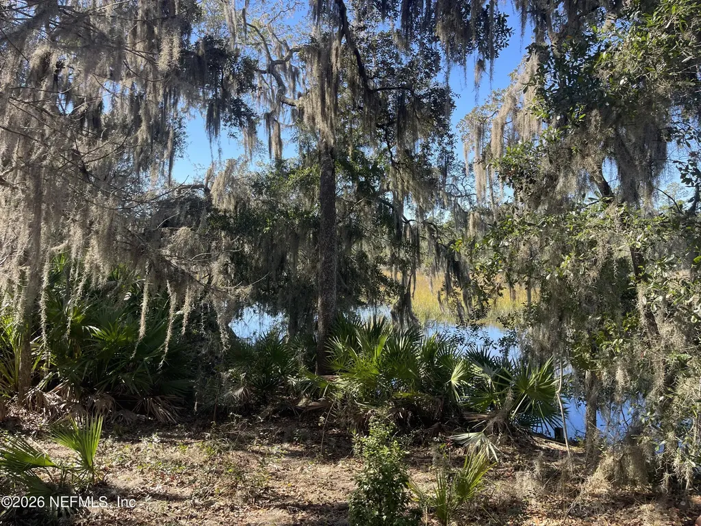 0 Pine Island Road Ponte Vedra FL 32081
