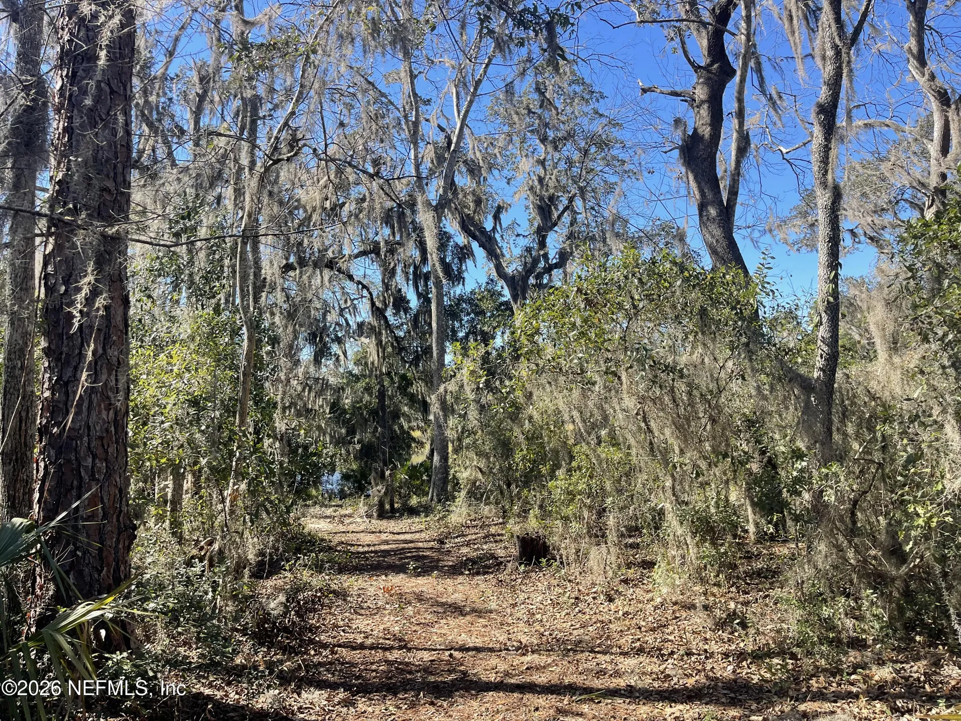 0 Pine Island Road Ponte Vedra FL 32081