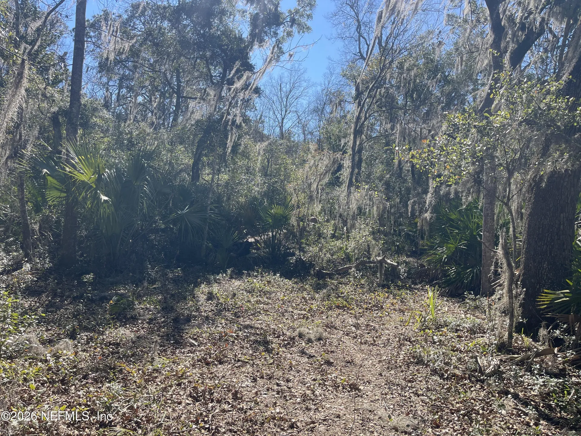 0 Pine Island Road Ponte Vedra FL 32081