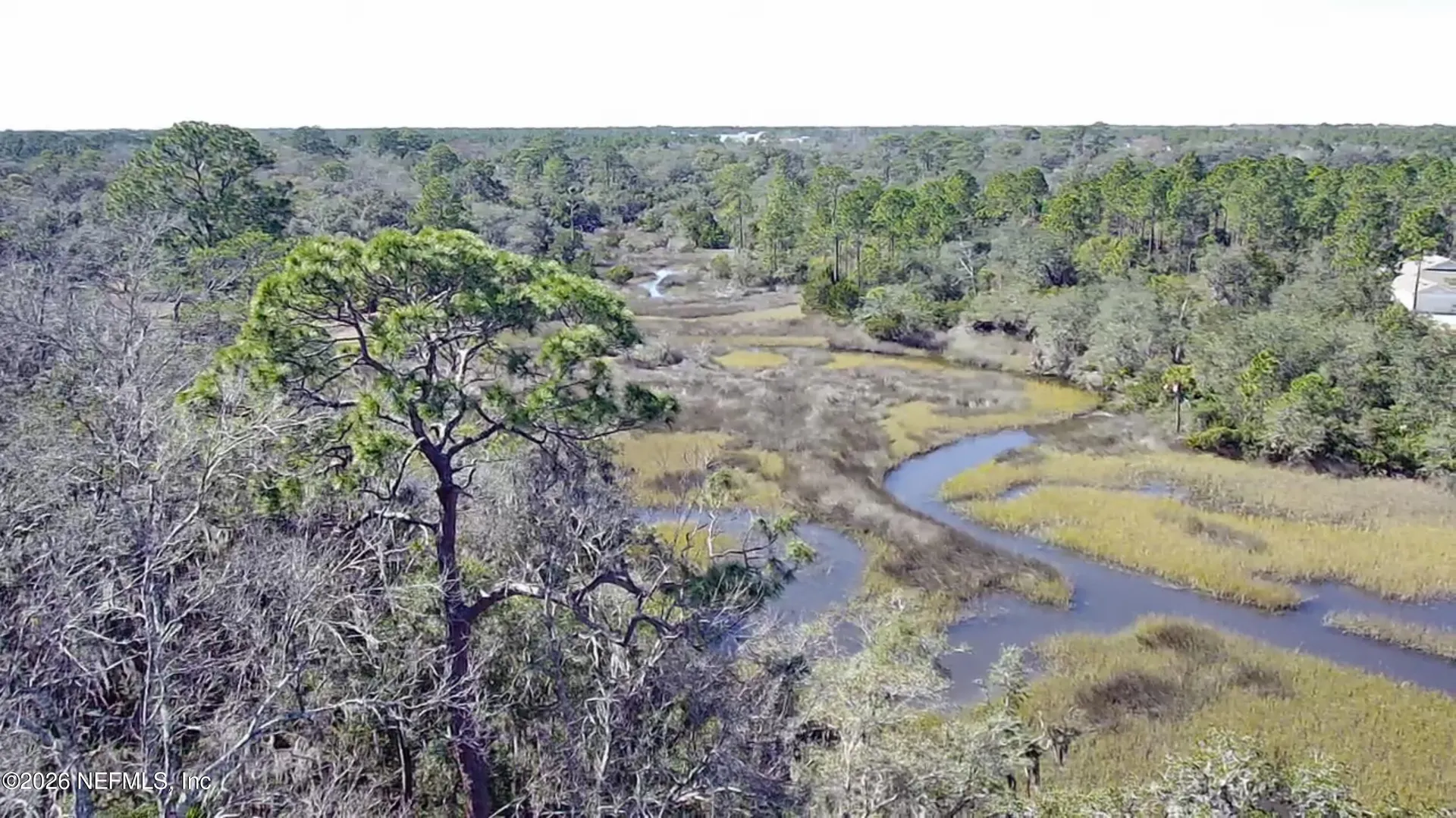 0 Pine Island Road Ponte Vedra FL 32081