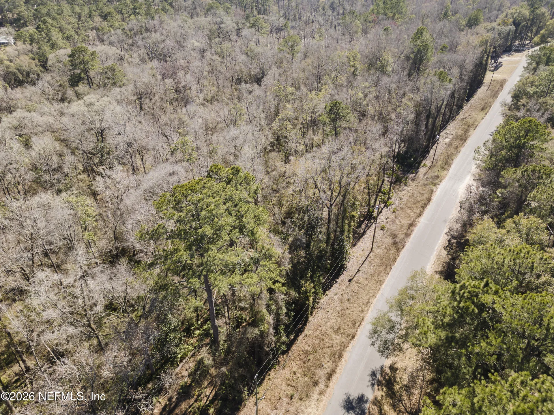 5309 Chicory Circle Middleburg FL 32068