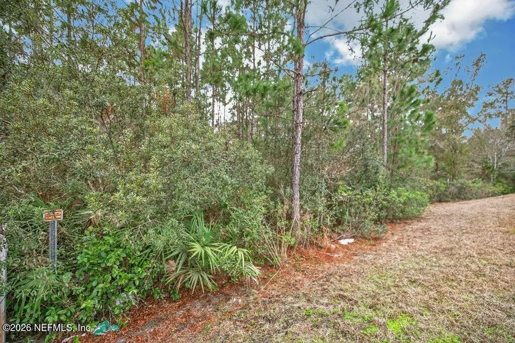 6260 Bucking Bronco Drive Jacksonville FL 32234