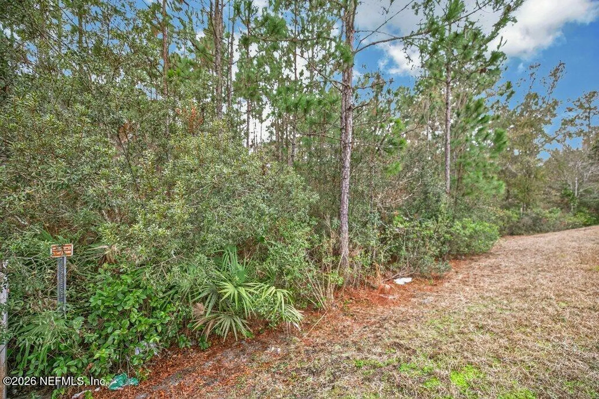 6260 Bucking Bronco Drive Jacksonville FL 32234