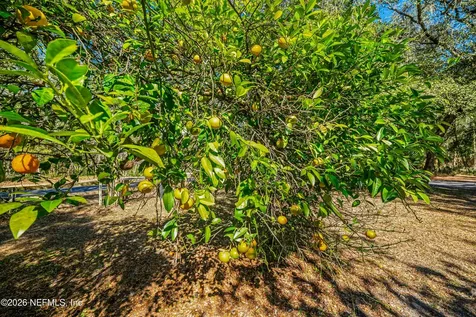 2950 Kings Road St. Augustine FL 32086