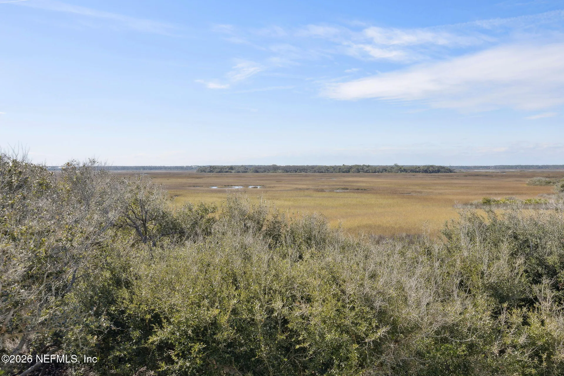 1351 Turtle Dunes Court Ponte Vedra Beach FL 32082