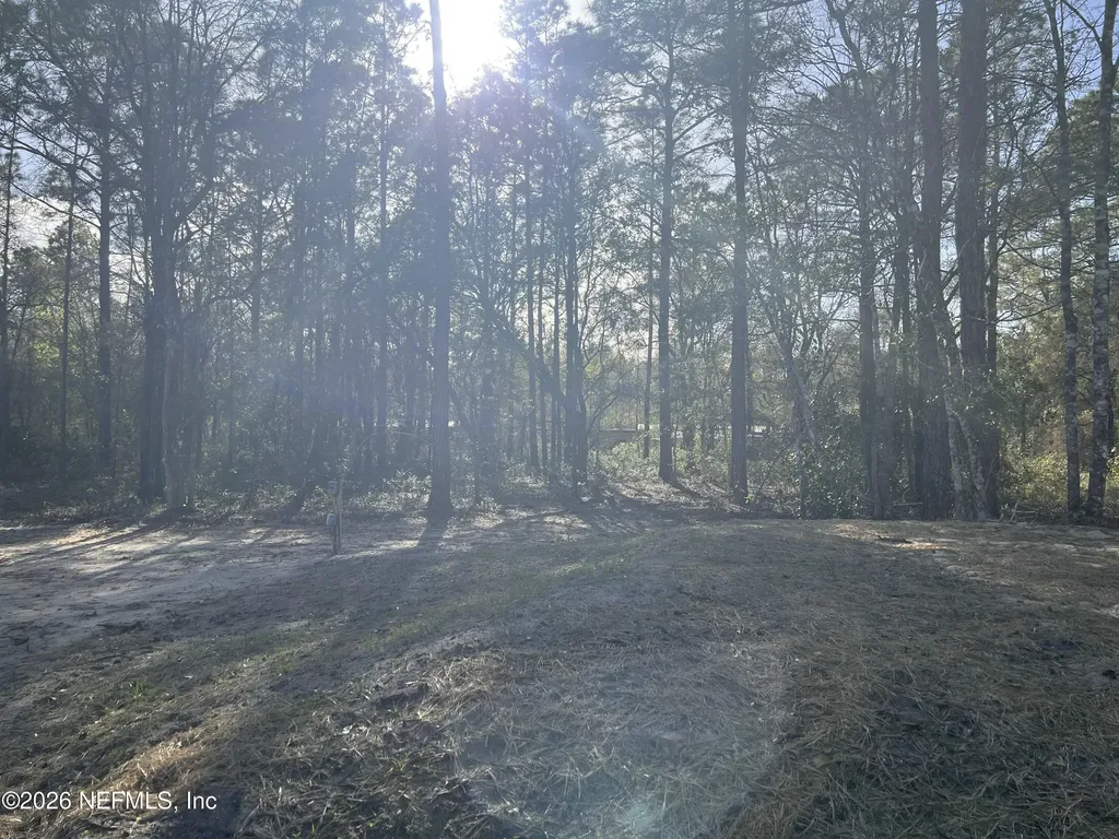 10045 Underwood Avenue Hastings FL 32145
