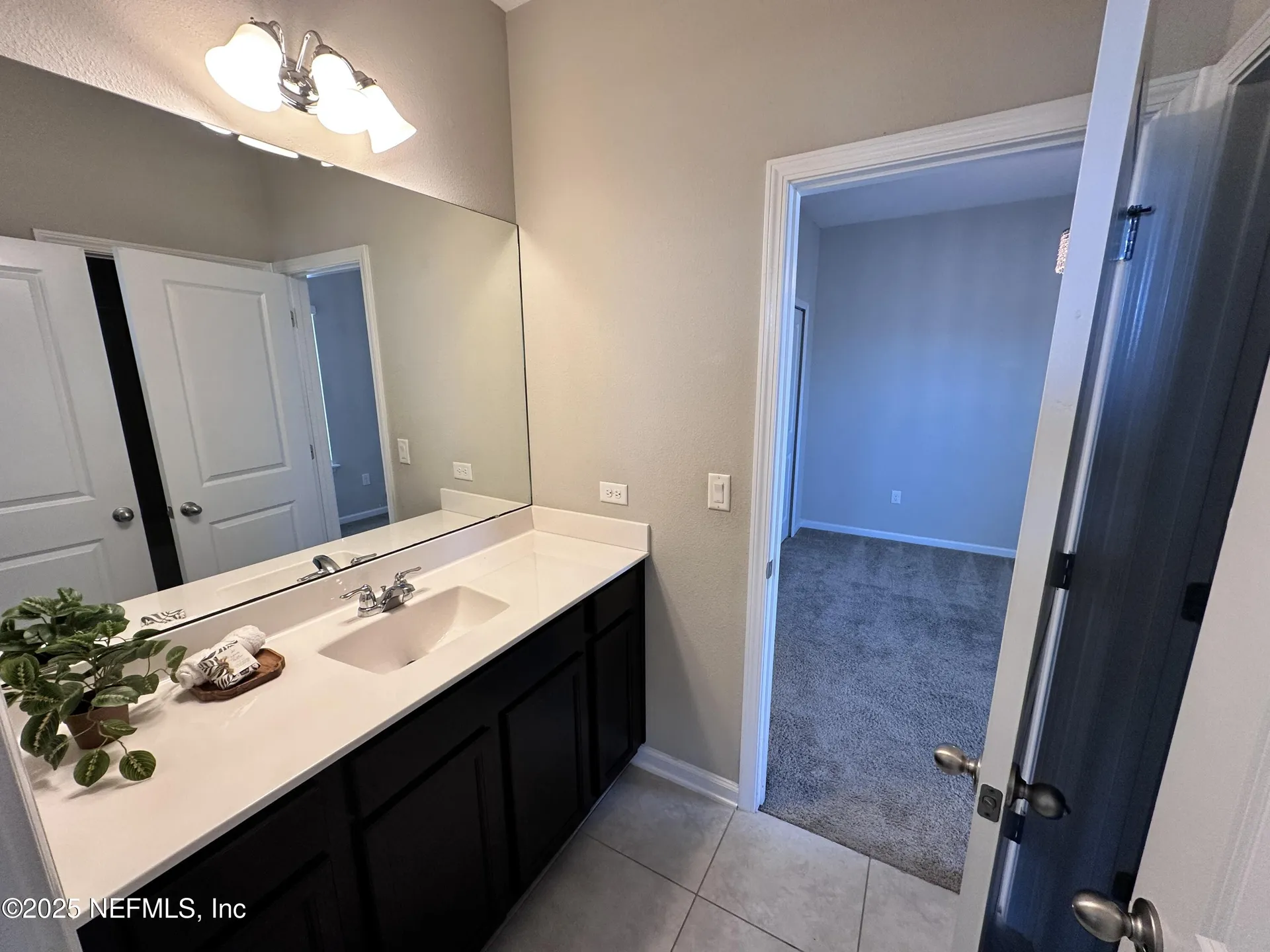 244 Willow Lake Drive St. Augustine FL 32092