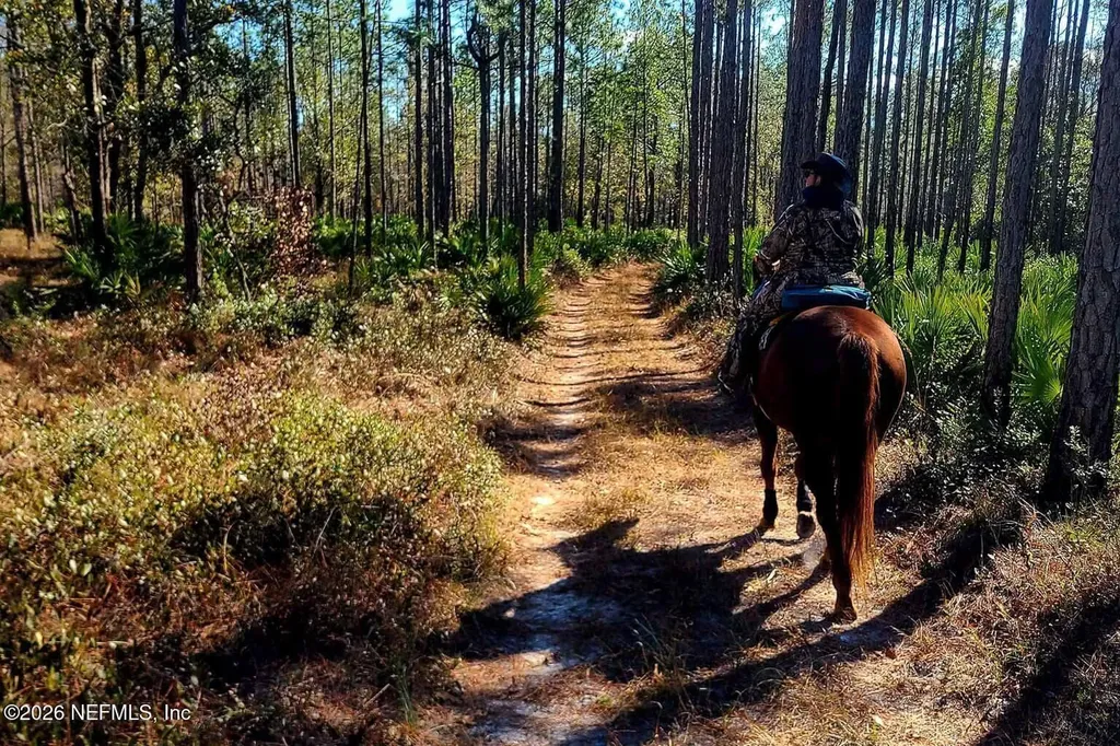 3760 Old Jennings Road Middleburg FL 32068