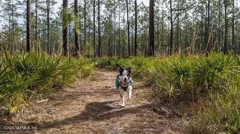 3760 Old Jennings Road Middleburg FL 32068