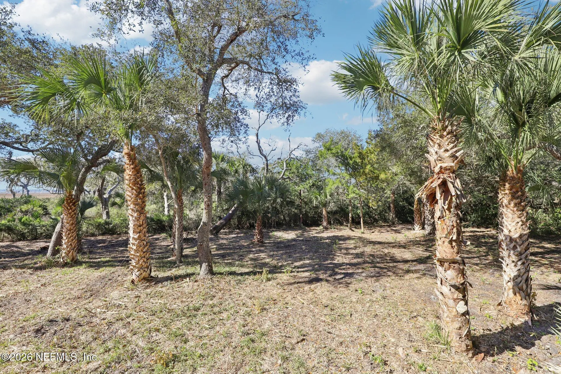 205 Ocean Grande Drive St. Augustine FL 32082