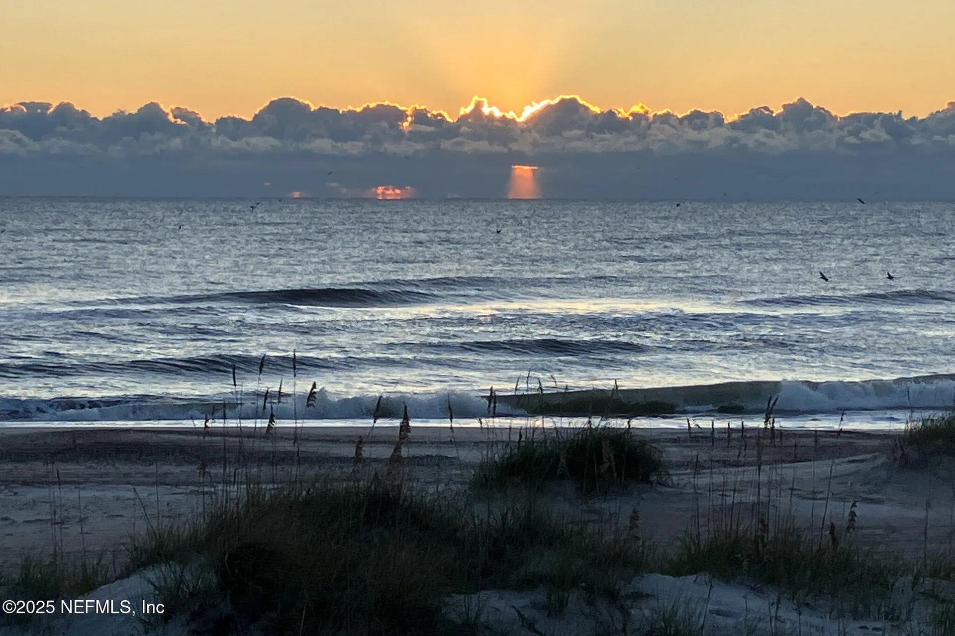 822 S Fletcher Avenue Fernandina Beach FL 32034