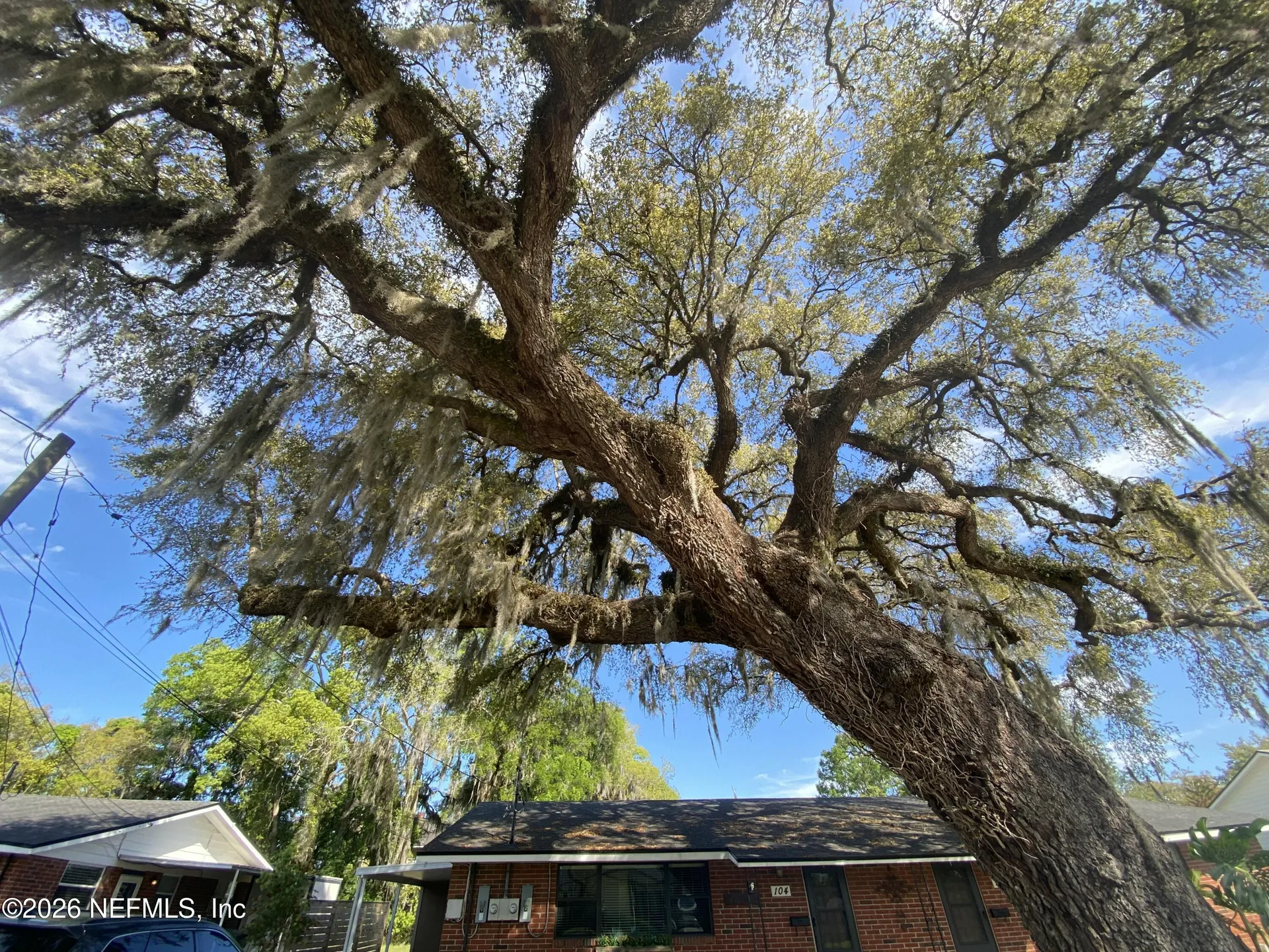 104 Street Elmo Road Green Cove Springs FL 32043