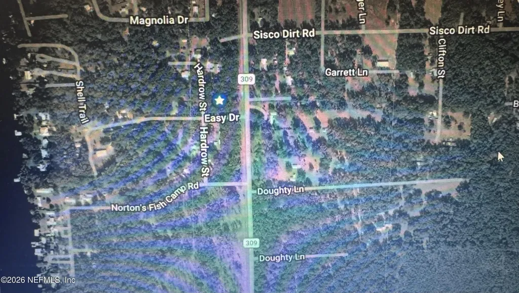 Lot 1 309 Satsuma FL 32189