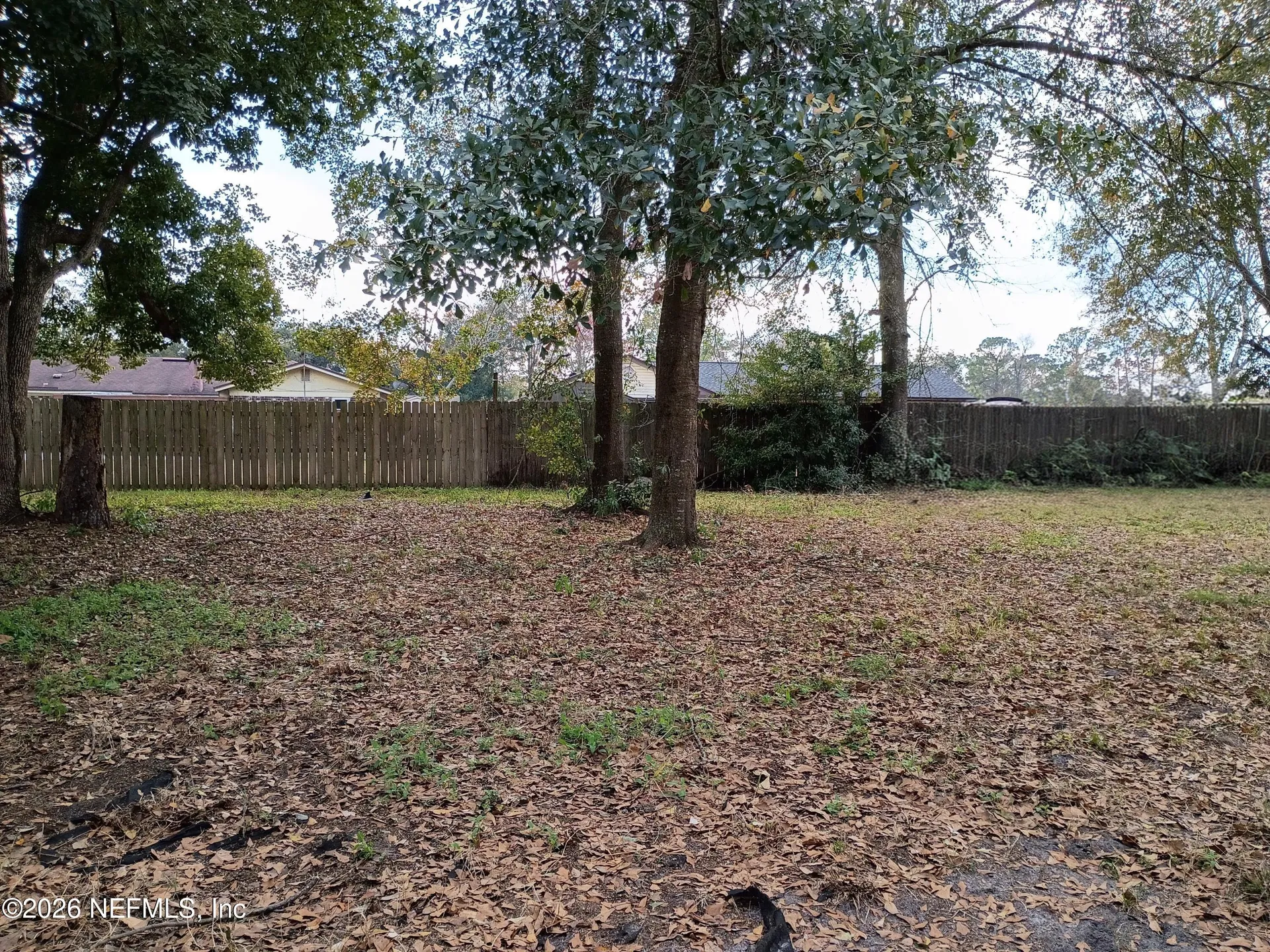 3726 Longleaf Forest Lane Jacksonville FL 32210
