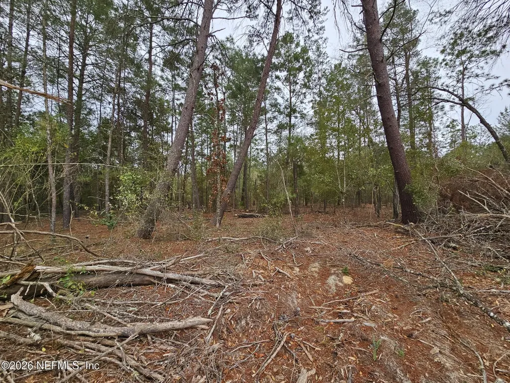 131 SE 5th Street Interlachen FL 32148