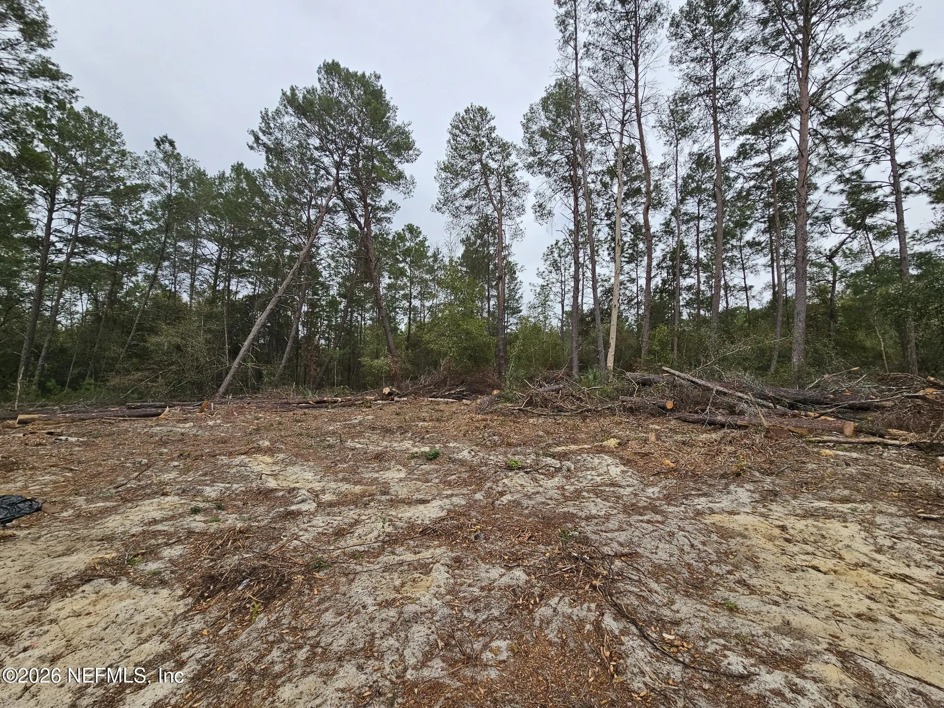 131 SE 5th Street Interlachen FL 32148