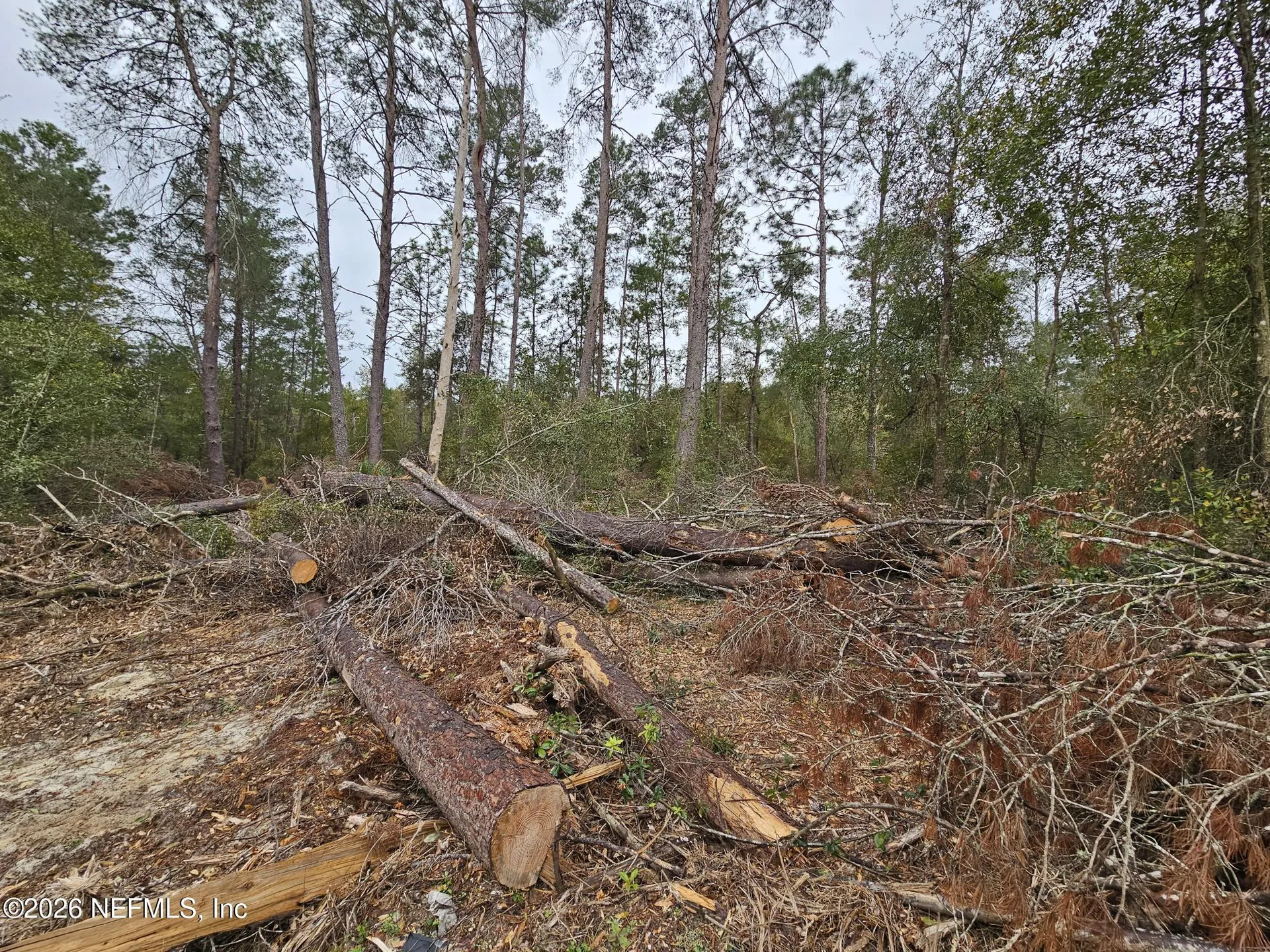 131 SE 5th Street Interlachen FL 32148