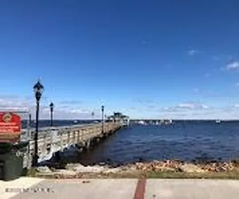 319 Pine Avenue S Green Cove Springs FL 32043